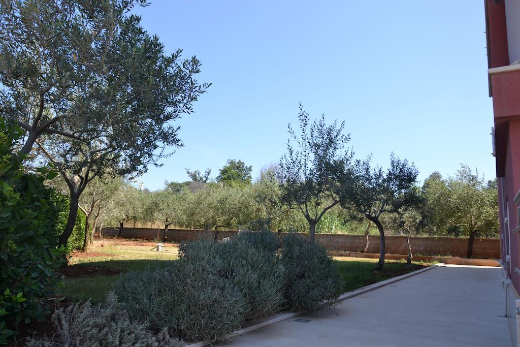 Apartment Roza Medulin