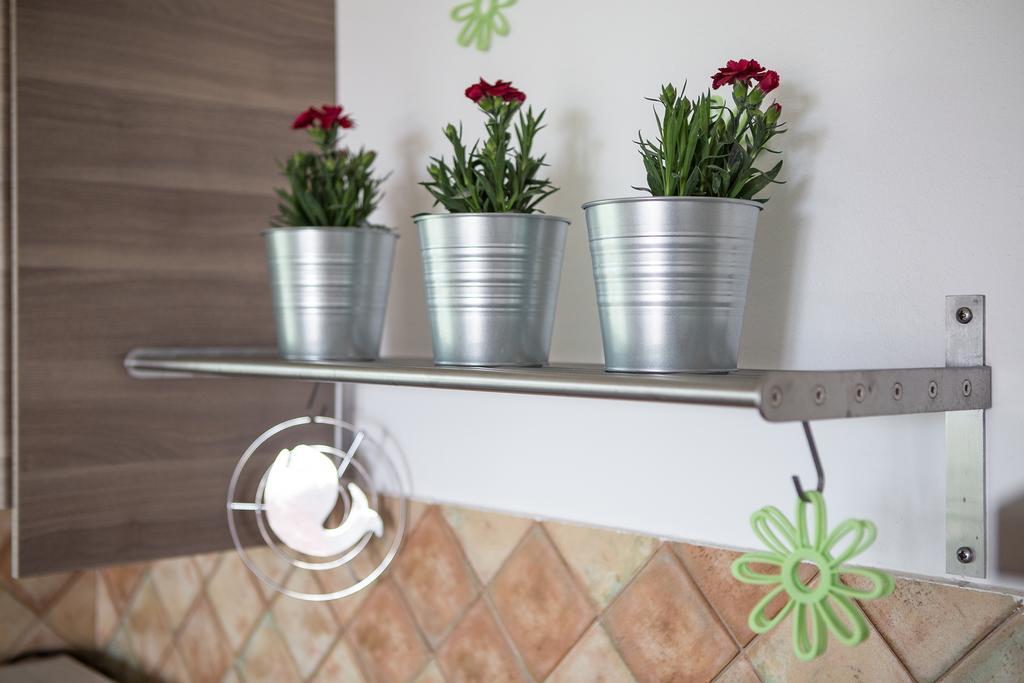Apartma Roza *