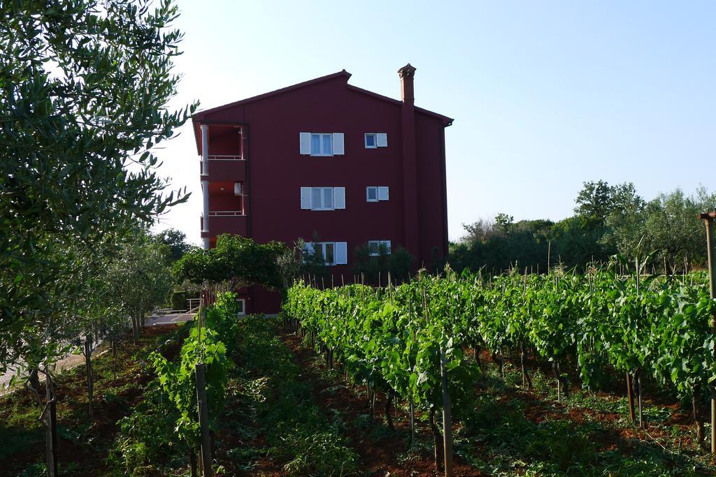 Apartment Roza *